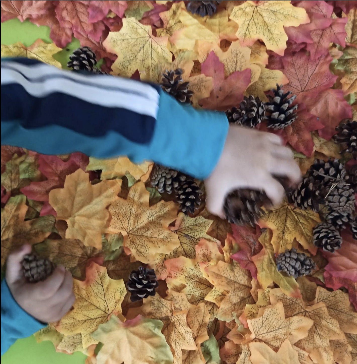 Actividad sensorial con hojas y piñas